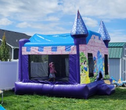 DISNEY PRINCESS CASTLE